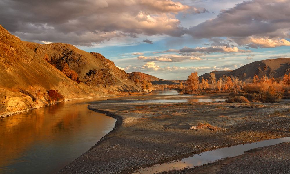 Photograph by Sokolova Tatiana