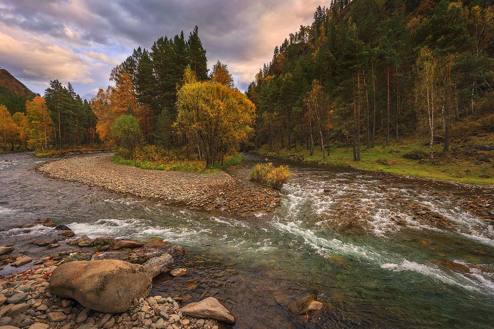 Photograph by Sokolova Tatiana