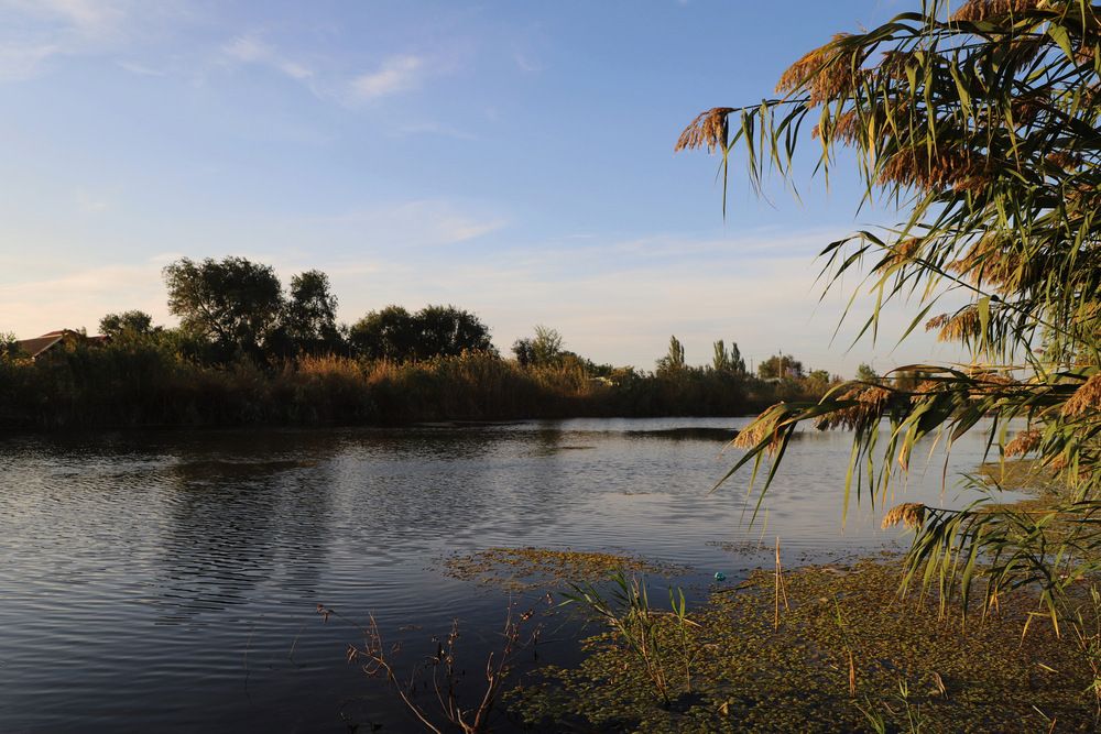 Ерик Солянка