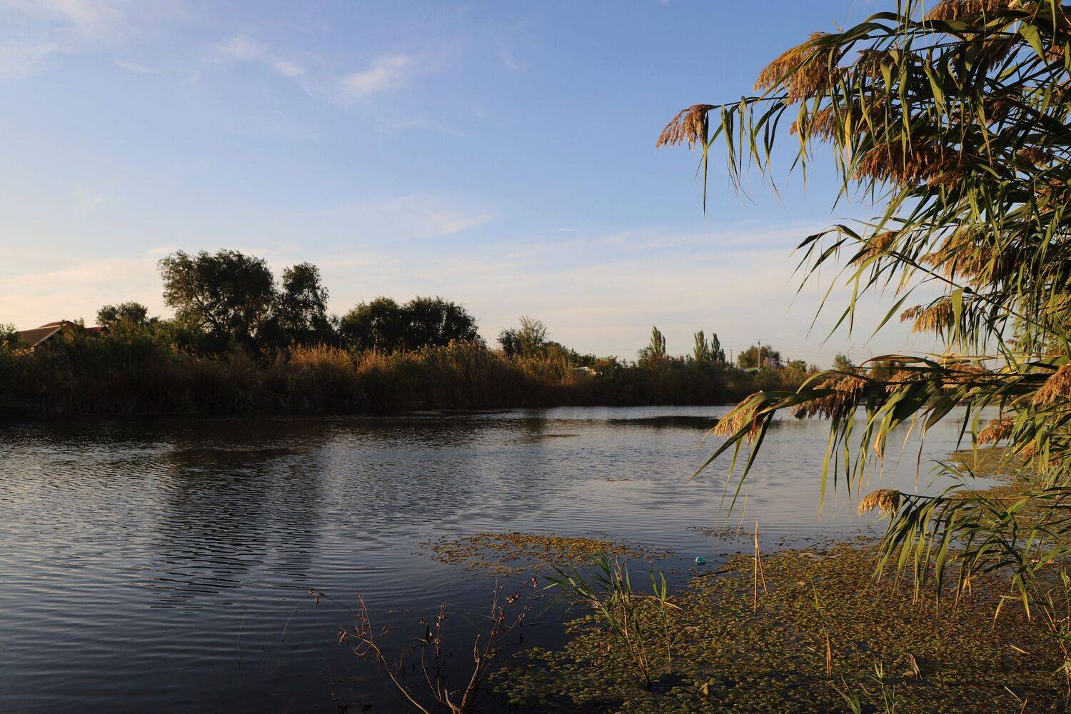 Ерик Солянка