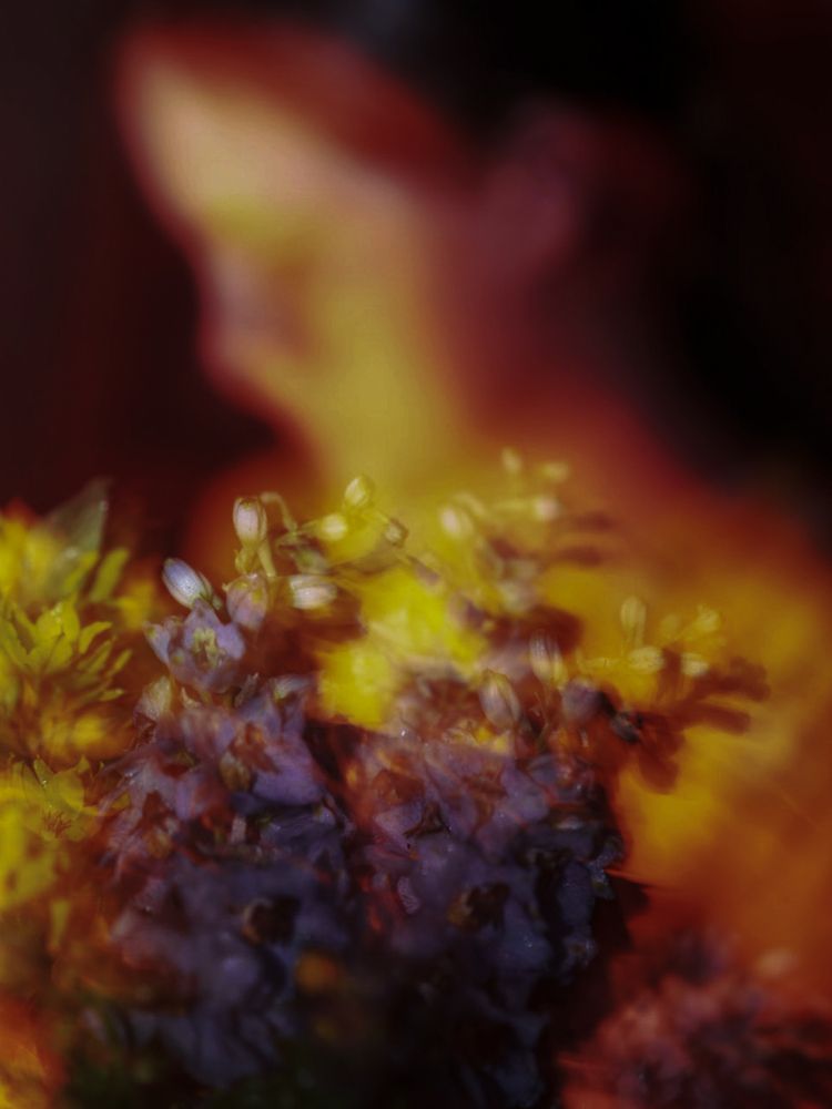 Photograph by Галина Луковникова