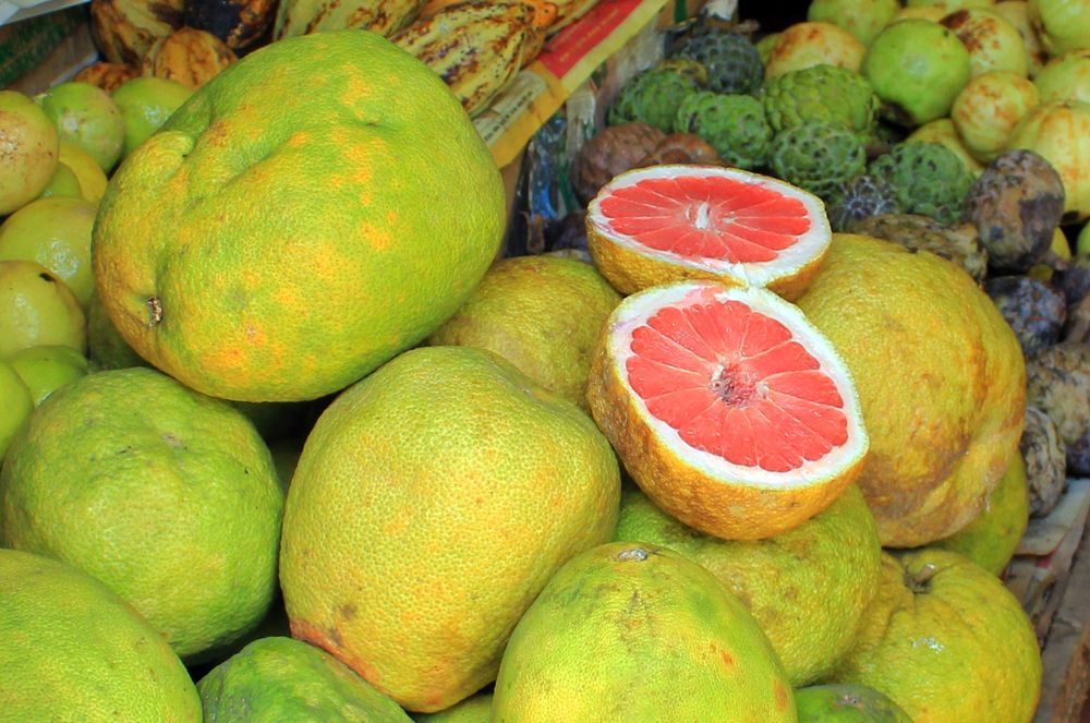 Photograph by Елена Поспелова