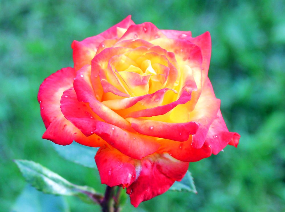 Photograph by Елена Поспелова