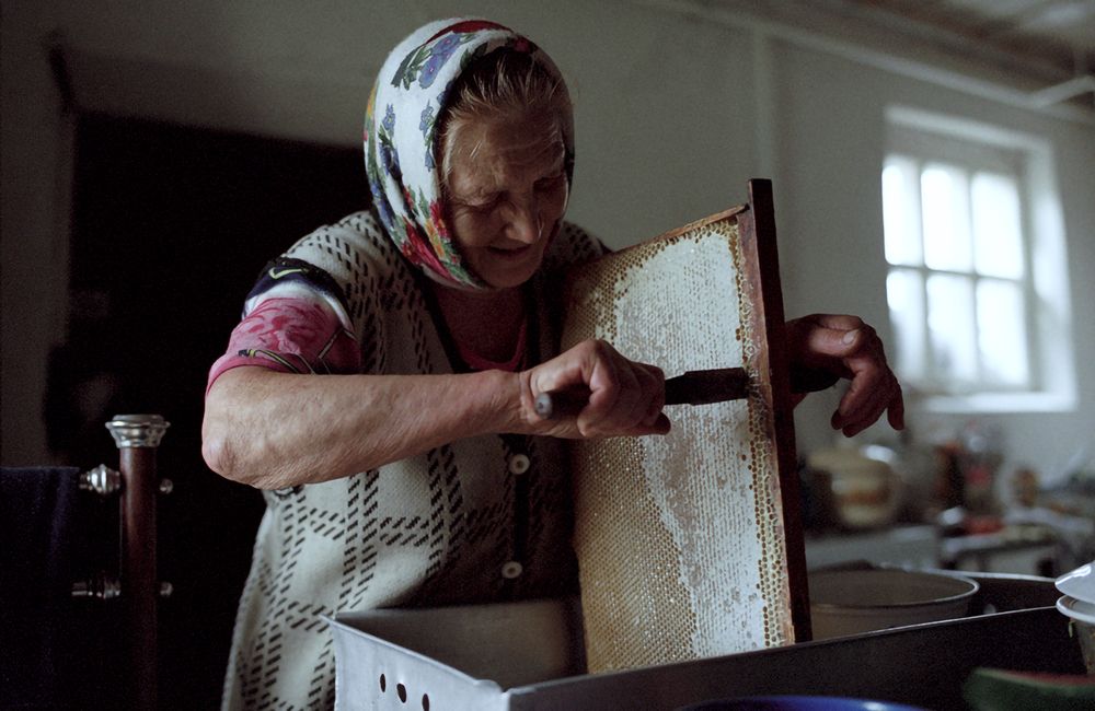 Photograph by Роман Бадусов