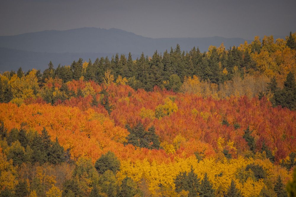 Photograph by Елена Перминова
