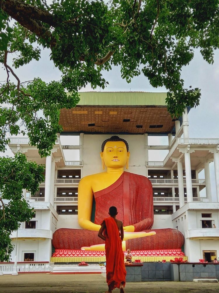 Photograph by Tharuni Shyamika Lakmali Wella Waduge