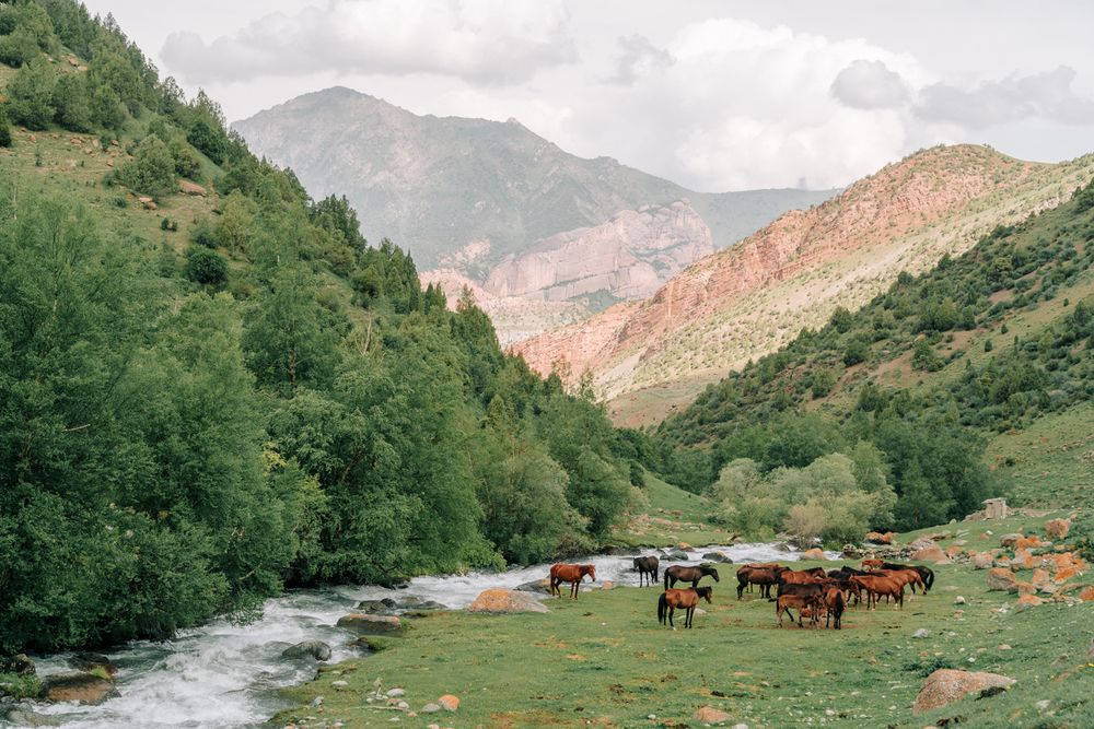 Photograph by Brian Robinson