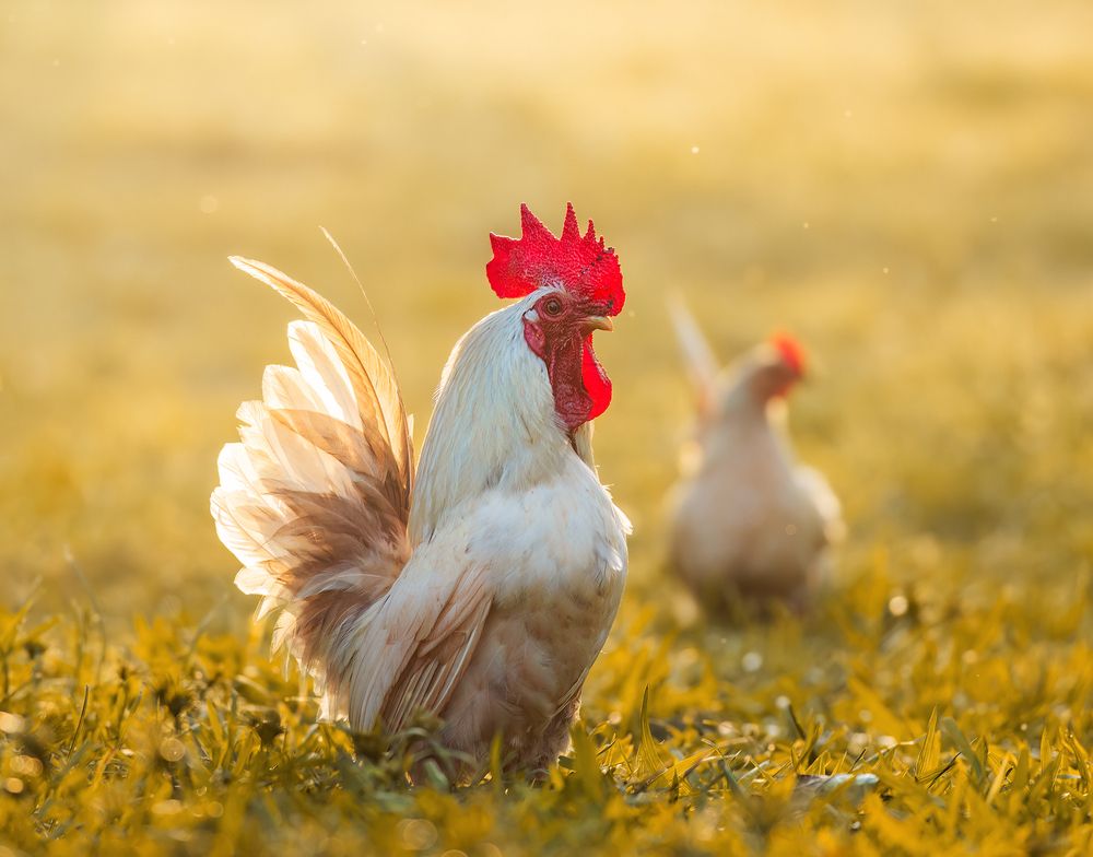 Photograph by Valdir Hobus