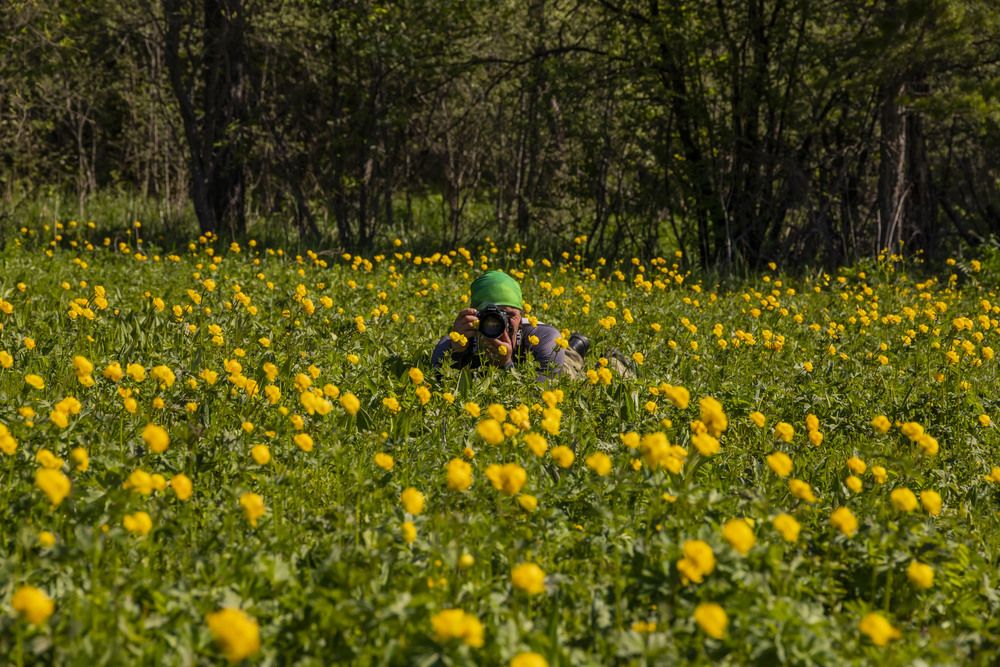 Фотография автора Елена Перминова
