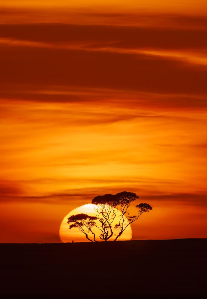 Photograph by Valdir Hobus