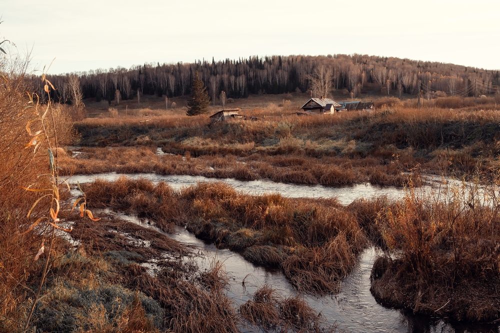 Photograph by Полина Котегова