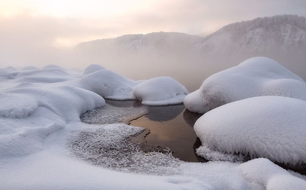 Фотография автора Марина Фомина