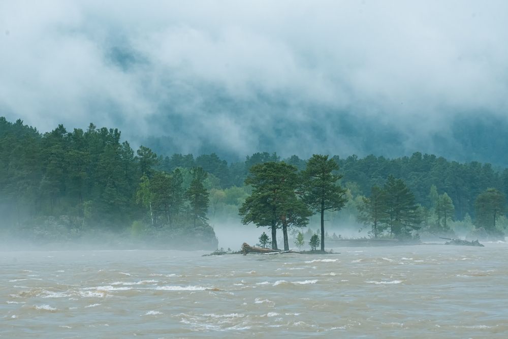 Photograph by Евгений Соколов