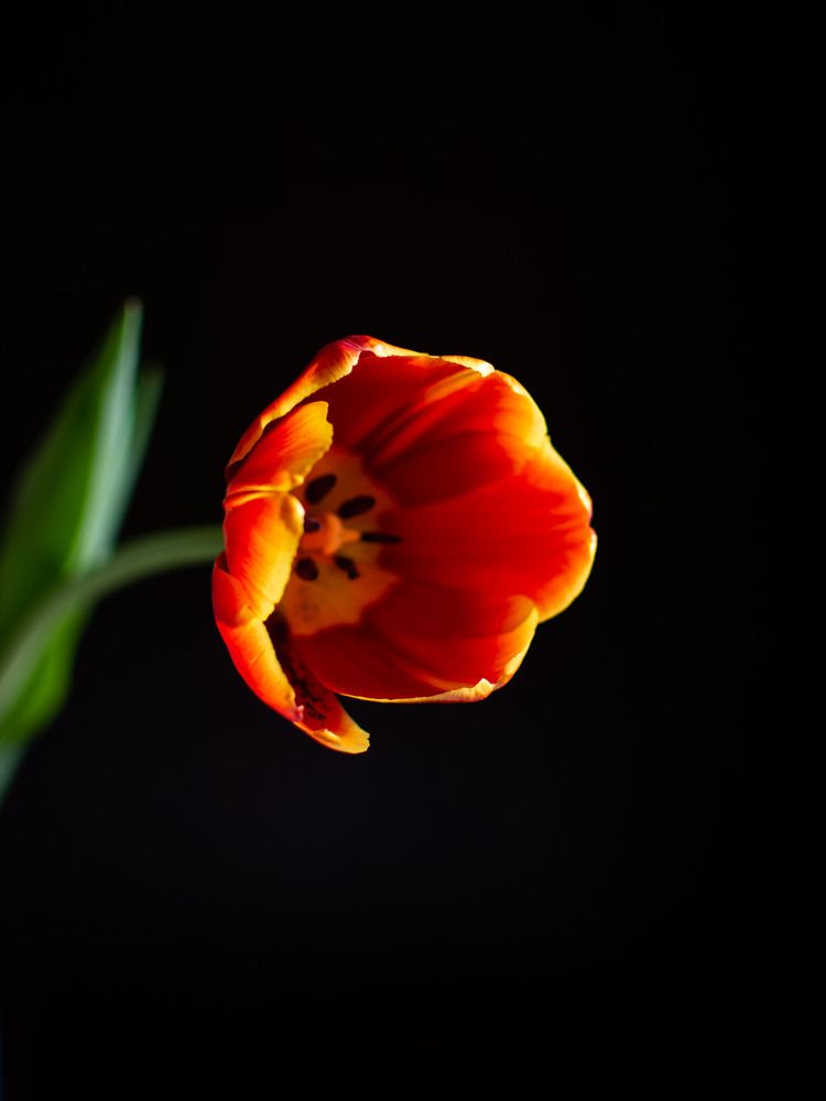Photograph by Вера Волкова