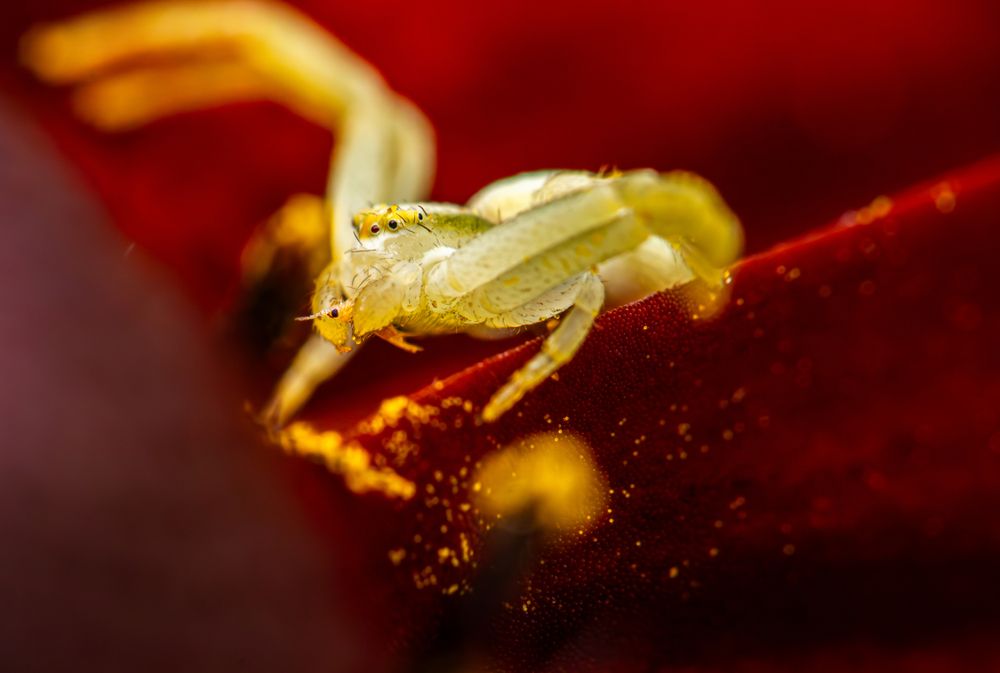 Photograph by Алексей Соколов