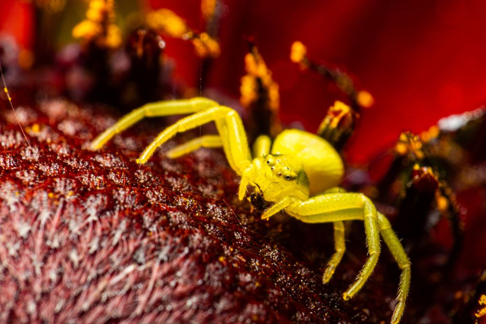 Photograph by Алексей Соколов