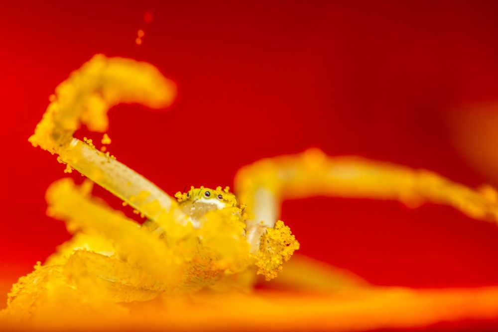 Photograph by Алексей Соколов