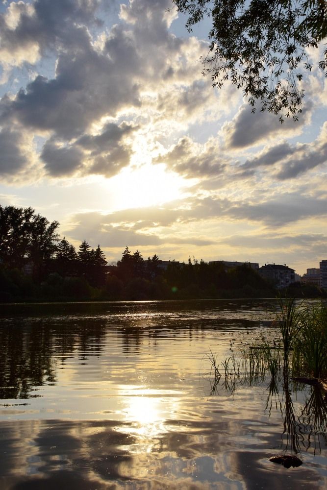 Photograph by Ольга Рыкова