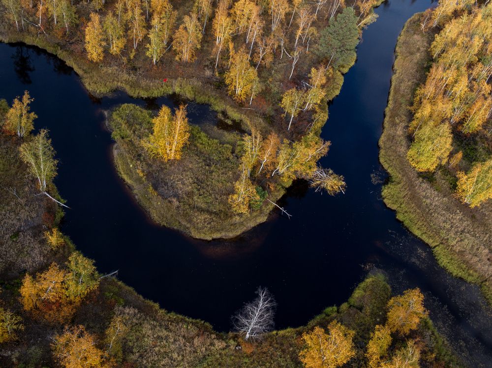 Фотография автора Татьяна Борисова