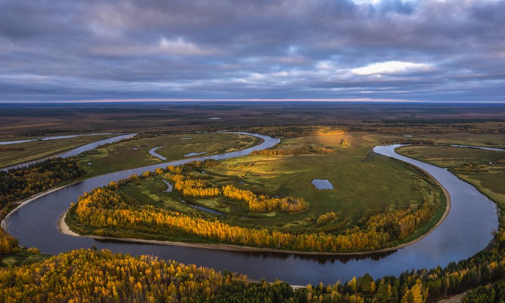 Фотография автора Татьяна Борисова