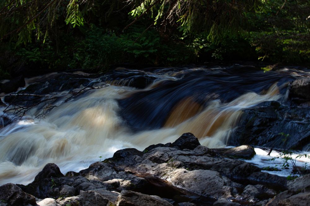 Фотография автора Анатолий Буянов