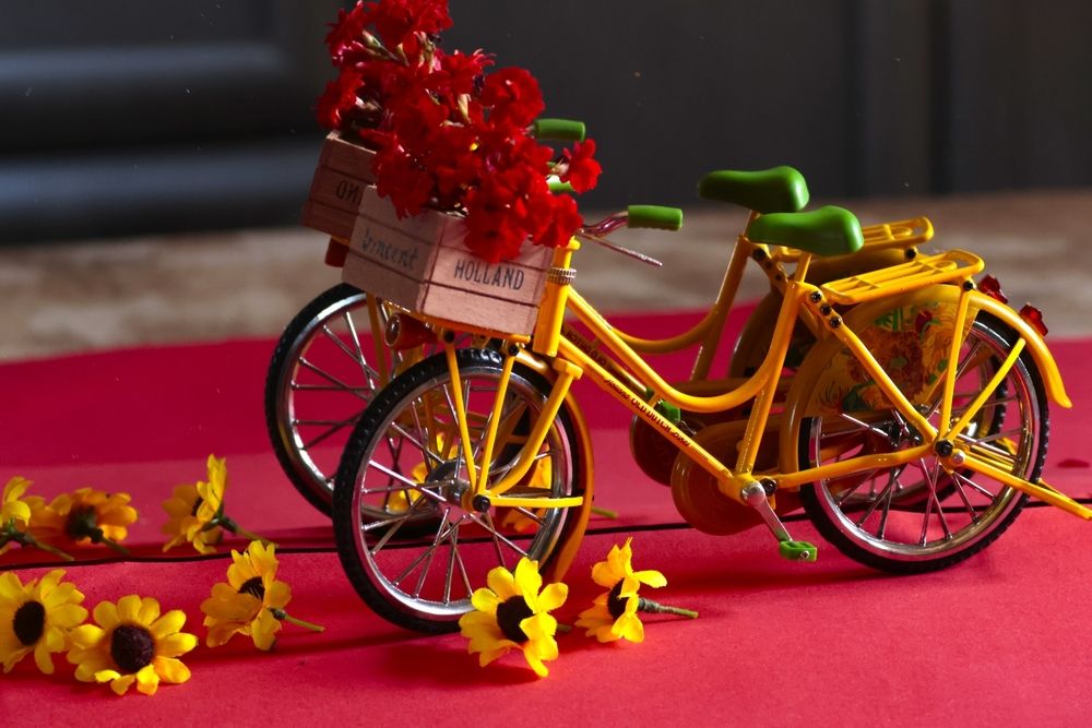 Photograph by Merav Zuberman Perkal