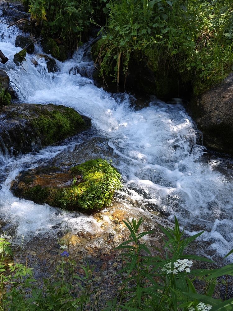 Photograph by Оксана Некрасова