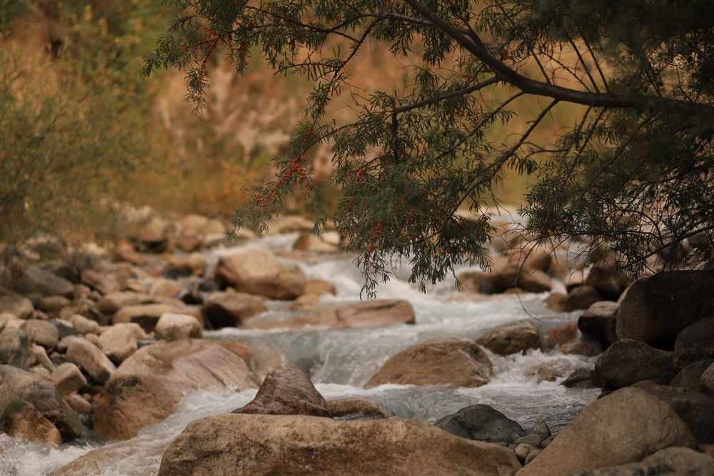 Photograph by Оксана Некрасова