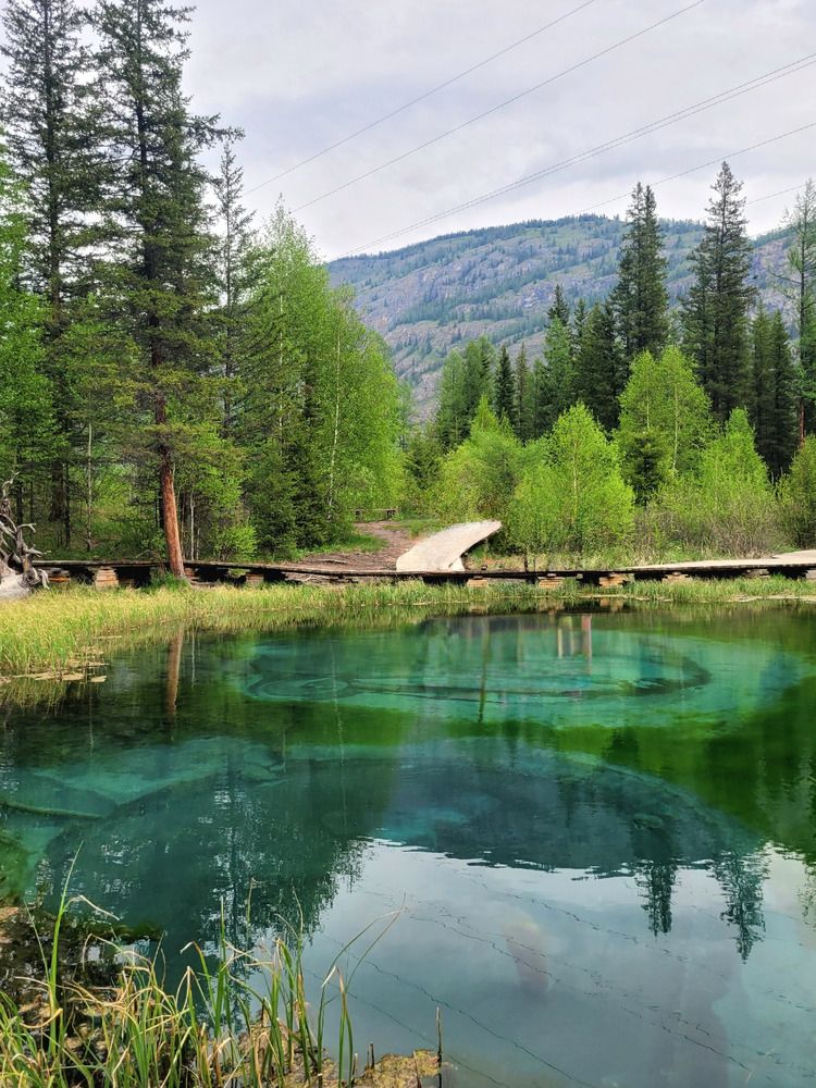 Photograph by Юлия Чернышёва