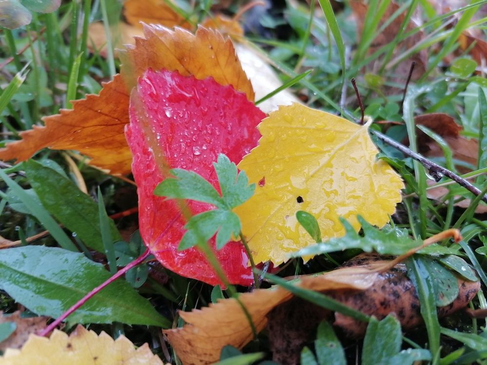 Photo #13430257