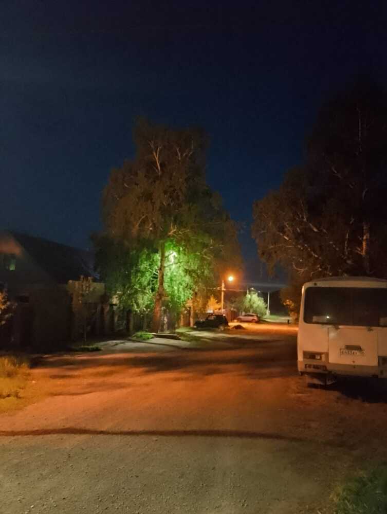 Фотография автора Гольназ
