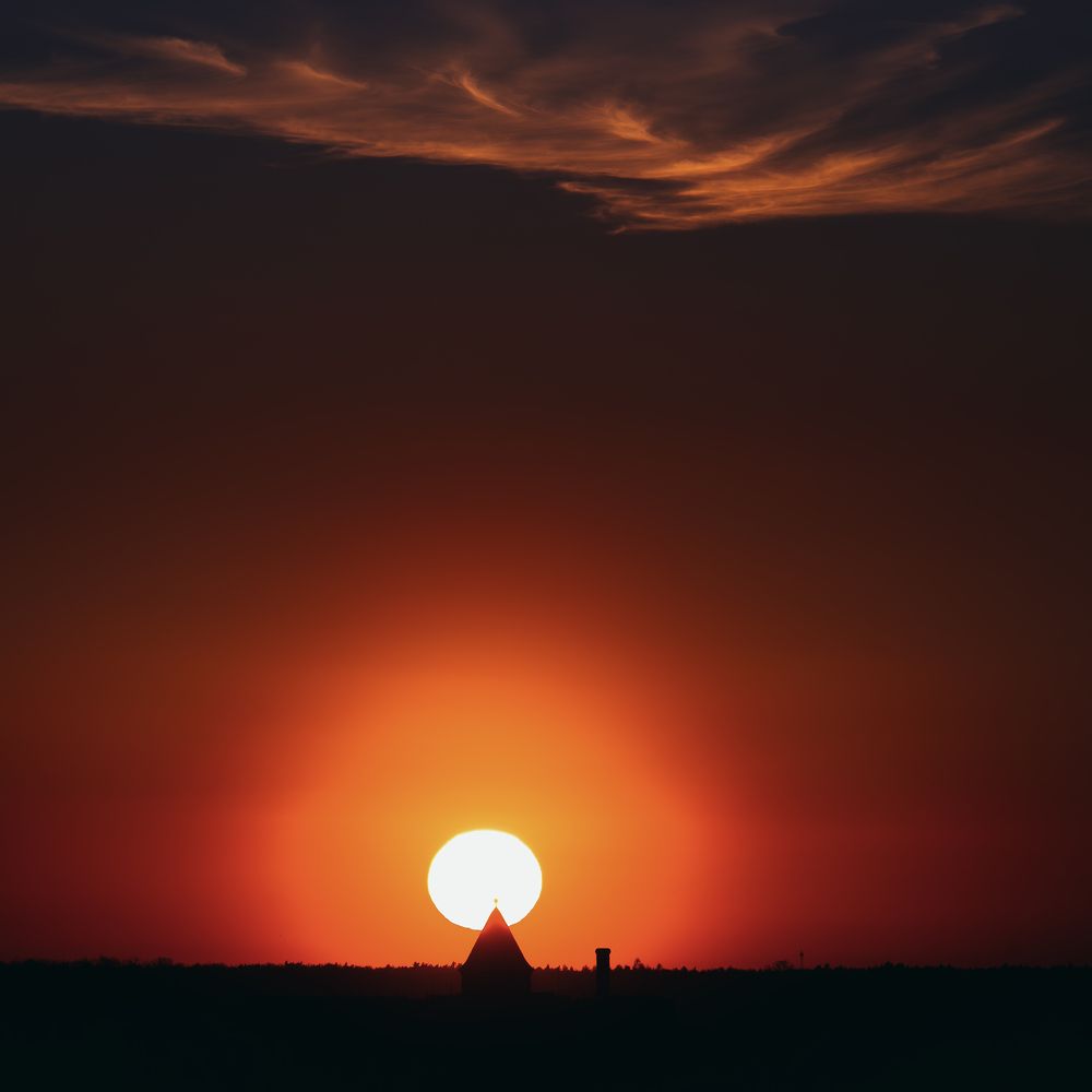 Photograph by Alex Reedson