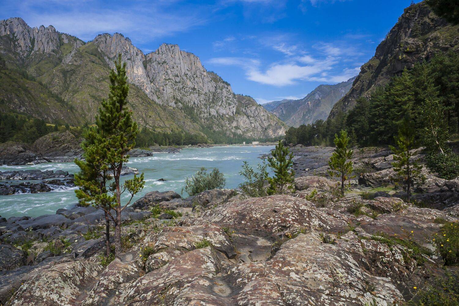 Река Катунь