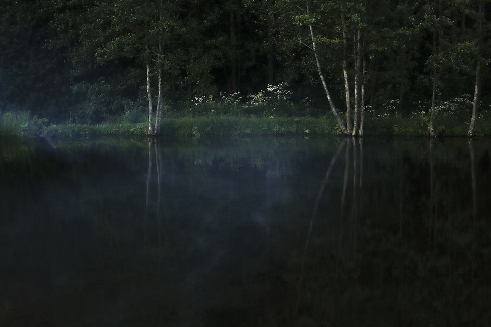 Photograph by Zhenya