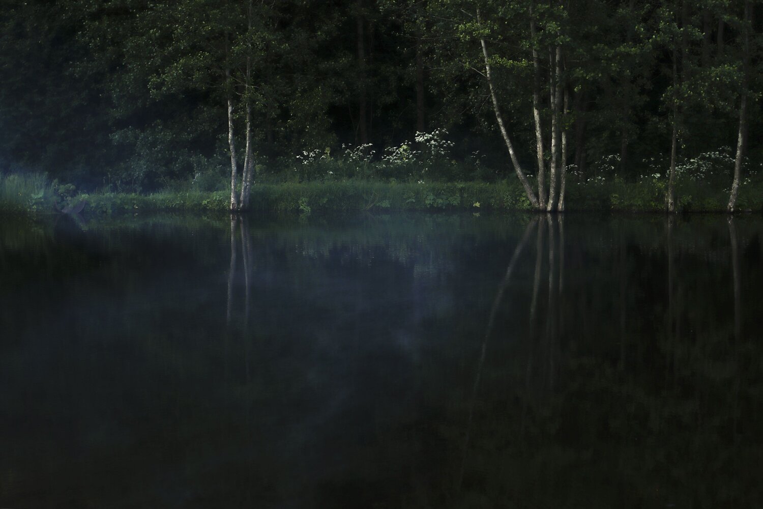 Photo #13430348
