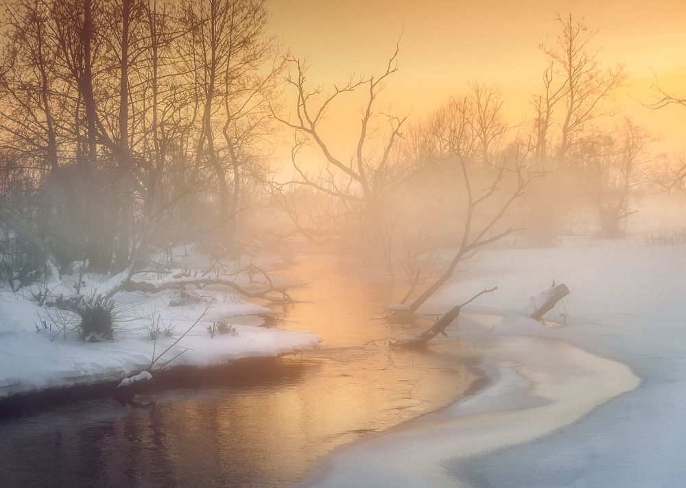 Photograph by Andrew Kuzmin