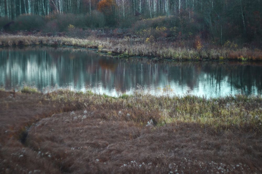 Photograph by Zhenya