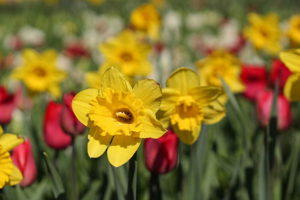 Фотография автора Наталия Козлова