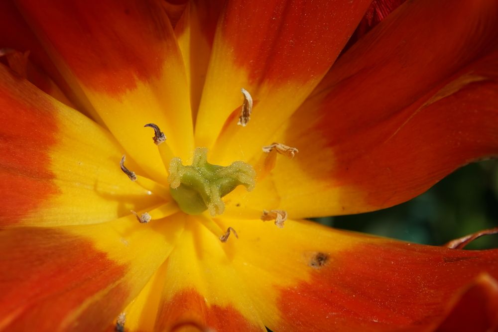 Photograph by сергей мишаков