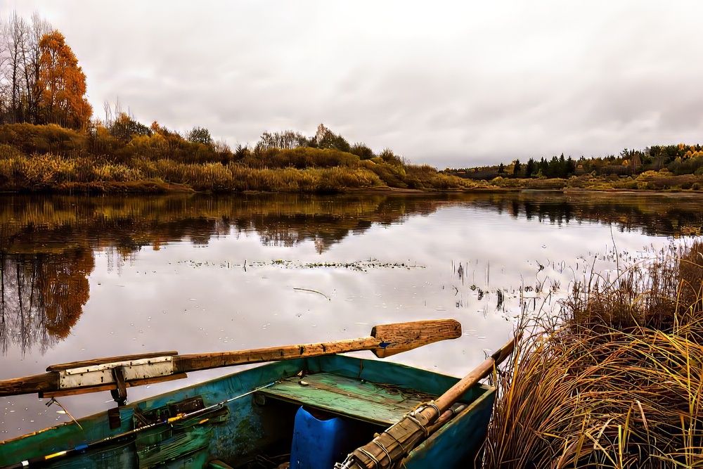 Photograph by Alexander Velin