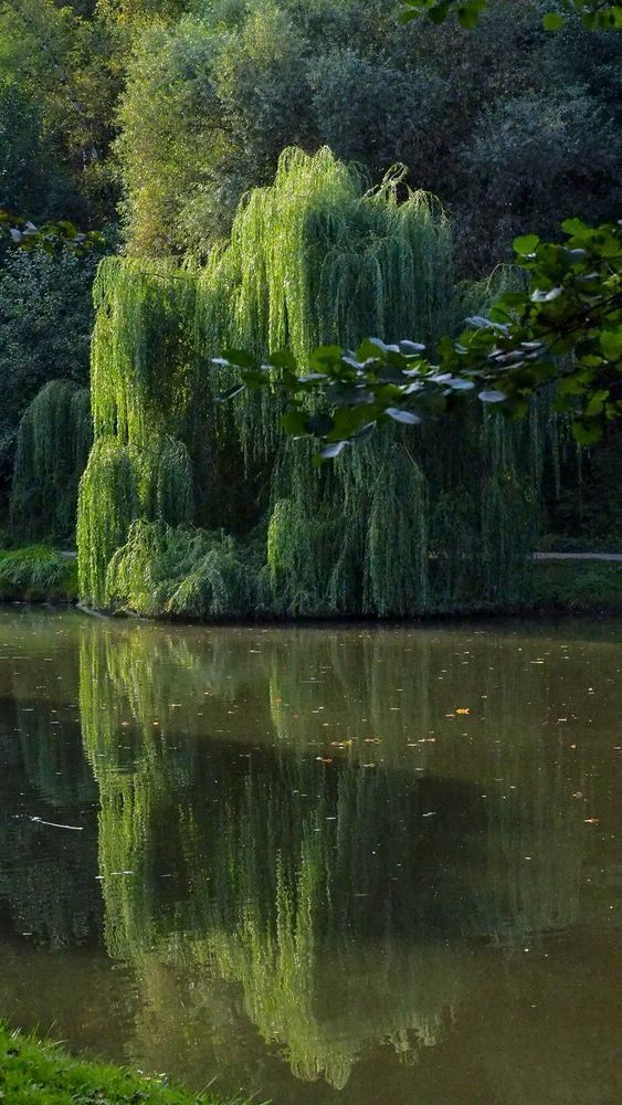 Photograph by Svetlana Aleks