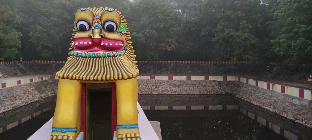 Photograph by SRINIVASA SUBRAHMANYAM SARIPALLI