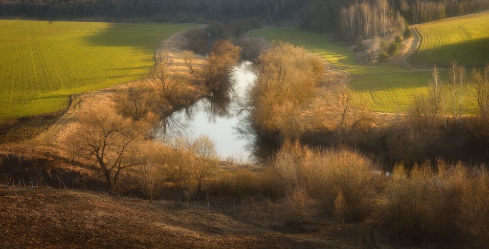Фотография автора Гордиенко Анатолий