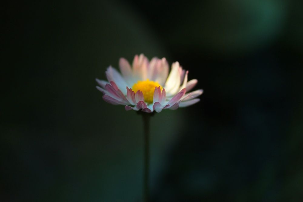 Photograph by Антон Иванов