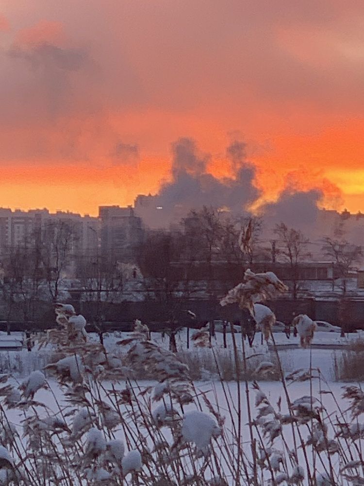 Photograph by Жанна Кузьмичева