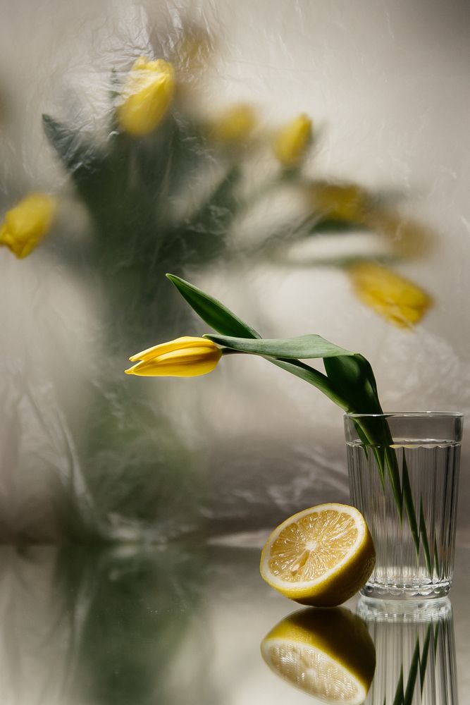 Photograph by Elizaveta Yasyuchenya