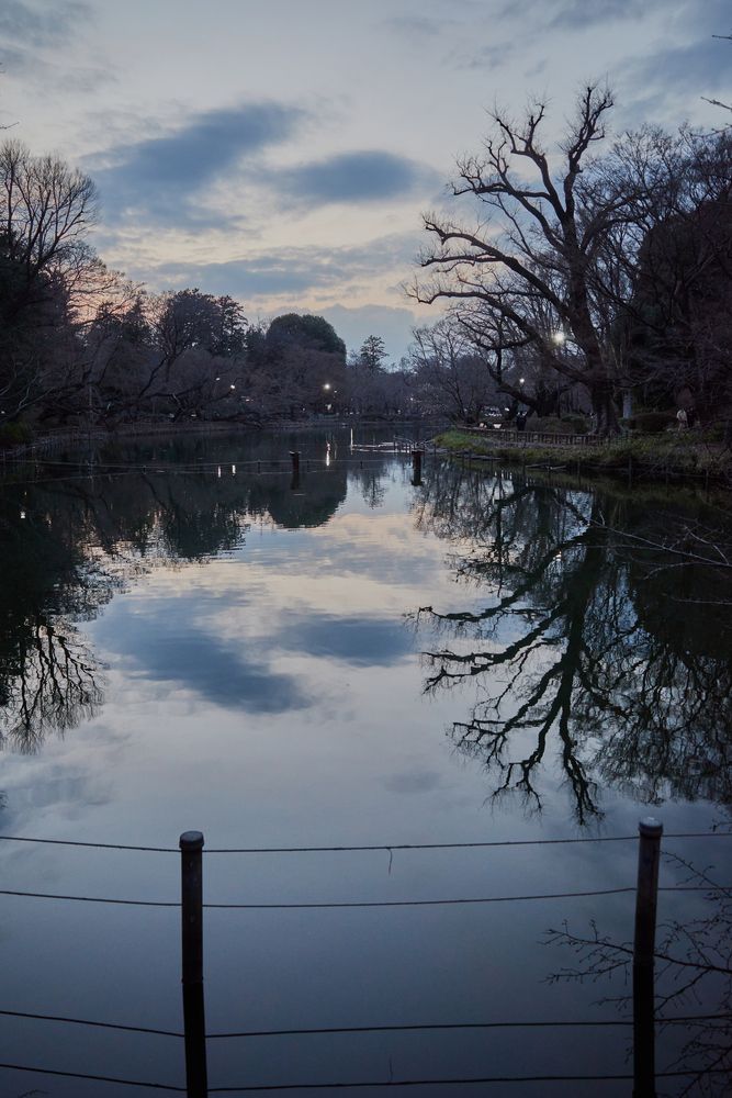 Photograph by Shoho Hiroshi