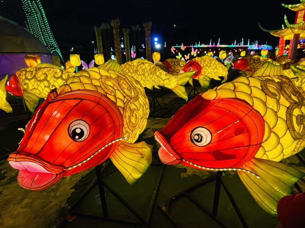 Photograph by Olga Andriuc