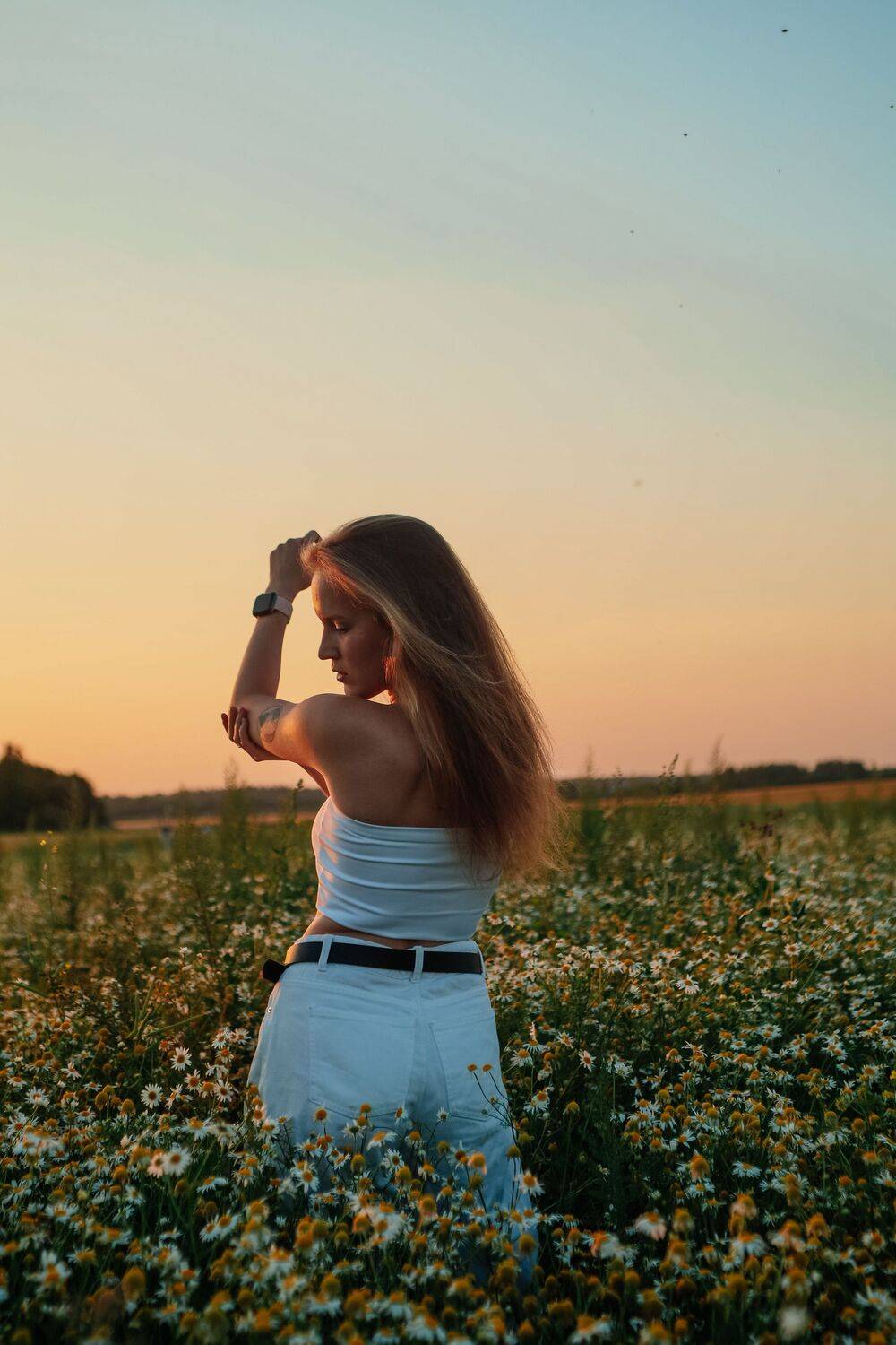 Photo #13430524