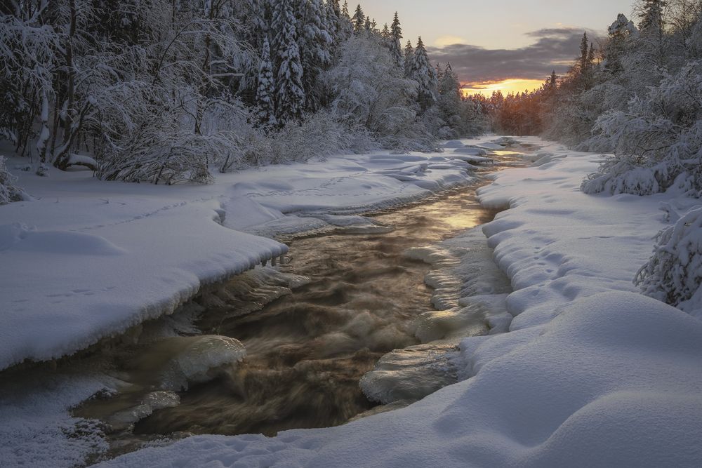 Photograph by Mikhail Ioannisian